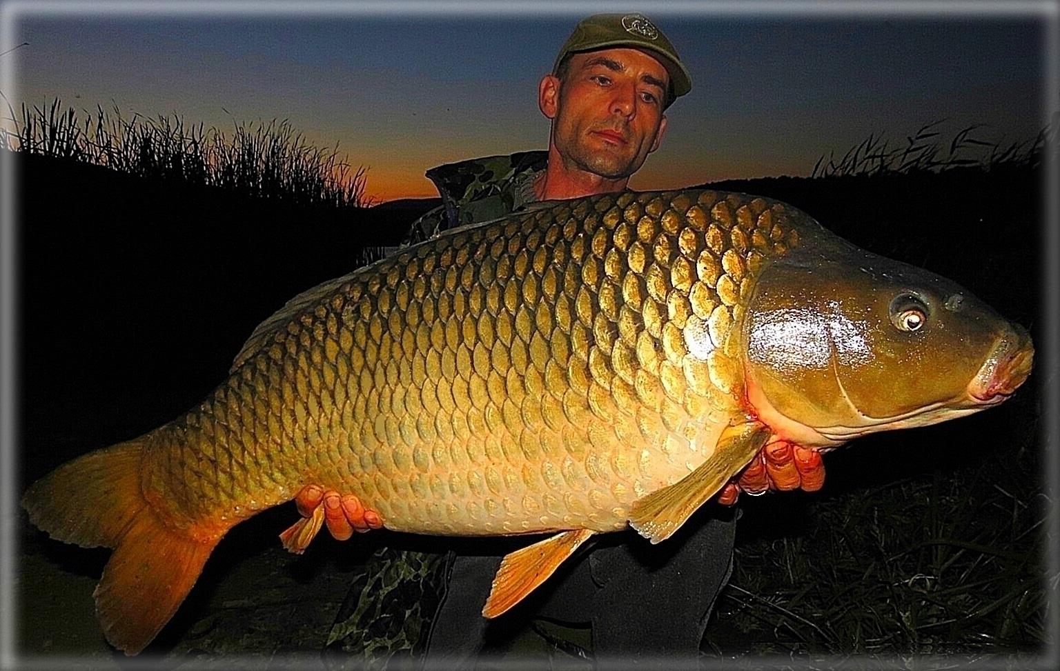 The best pictures of 2013 - 17,850